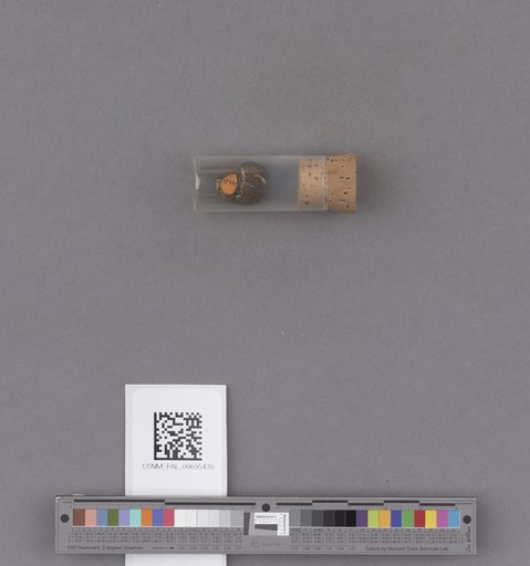 NSF ADBC EPICC TCN