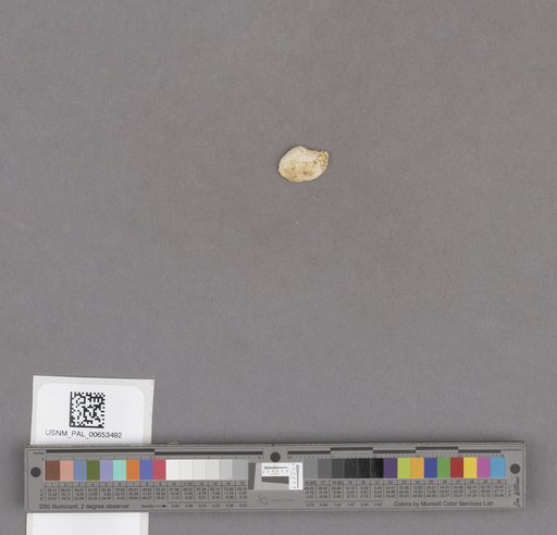 NSF ADBC EPICC TCN