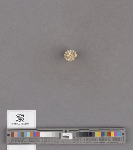 NSF ADBC EPICC TCN