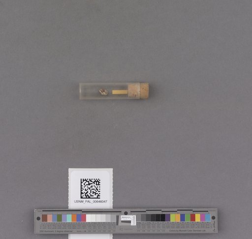 NSF ADBC EPICC TCN