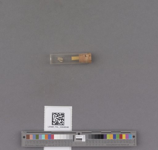 NSF ADBC EPICC TCN