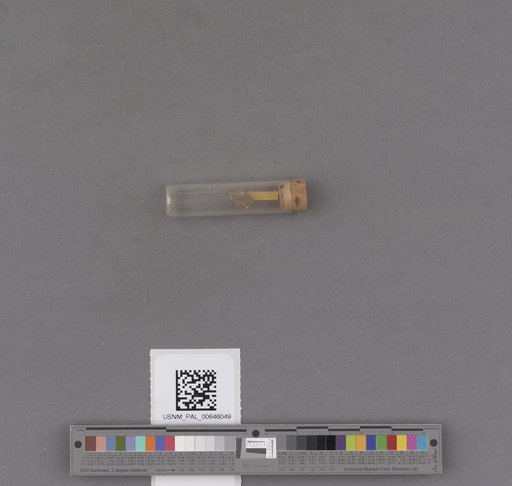 NSF ADBC EPICC TCN