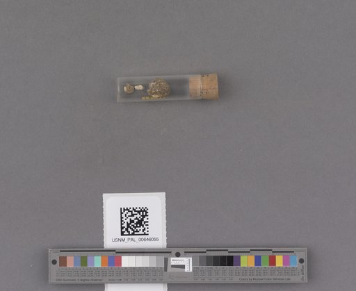 NSF ADBC EPICC TCN