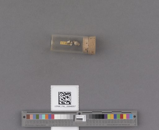 NSF ADBC EPICC TCN
