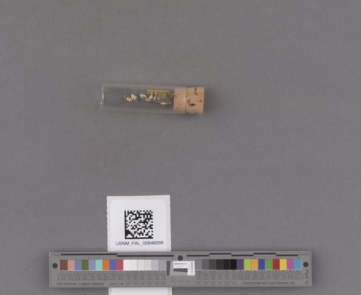 NSF ADBC EPICC TCN