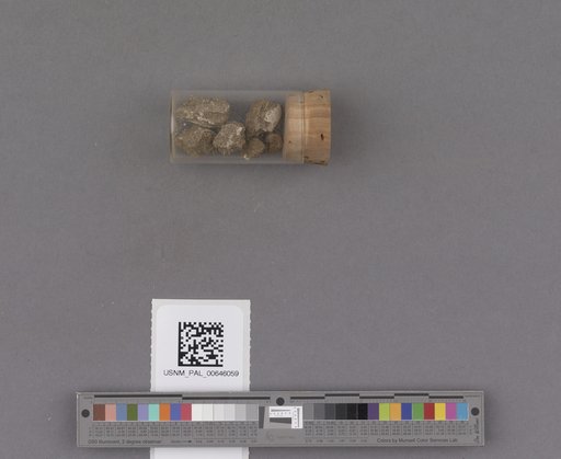NSF ADBC EPICC TCN