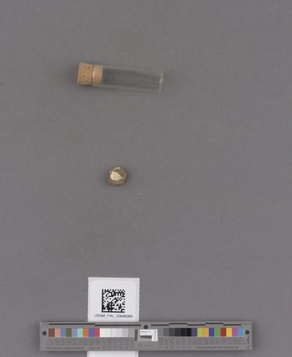 NSF ADBC EPICC TCN