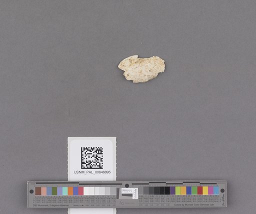 NSF ADBC EPICC TCN