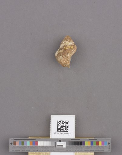 NSF ADBC EPICC TCN