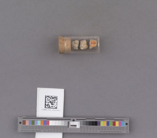 NSF ADBC EPICC TCN