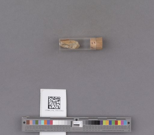 NSF ADBC EPICC TCN