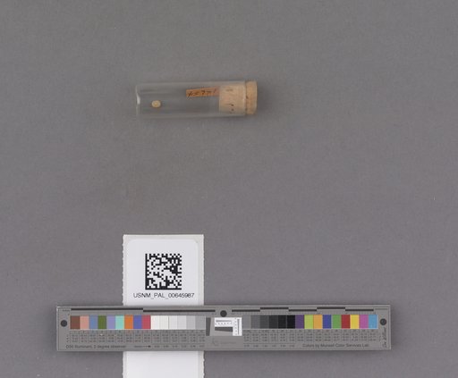 NSF ADBC EPICC TCN