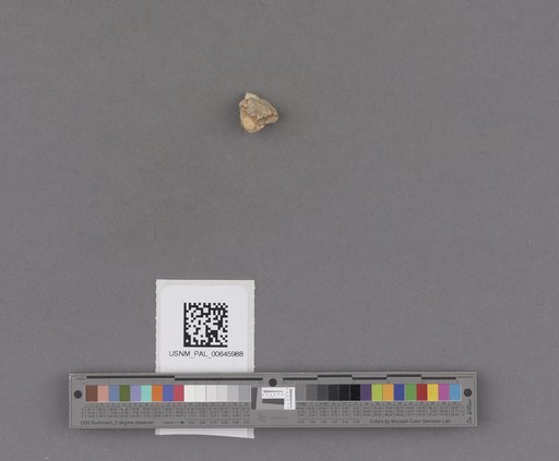 NSF ADBC EPICC TCN