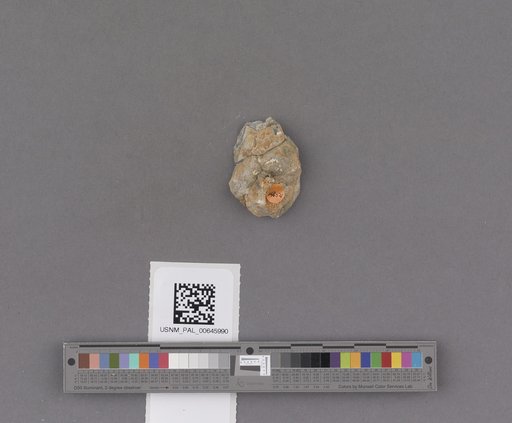 NSF ADBC EPICC TCN