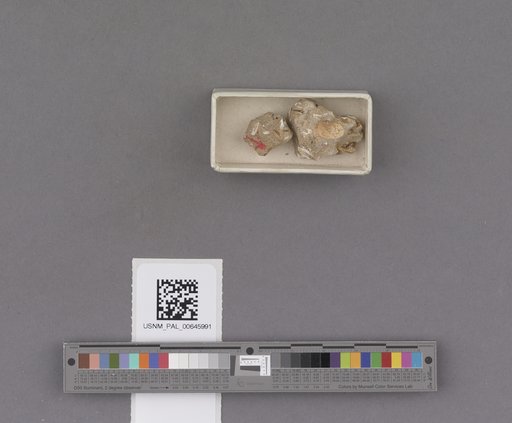 NSF ADBC EPICC TCN