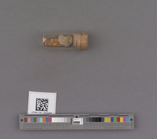 NSF ADBC EPICC TCN
