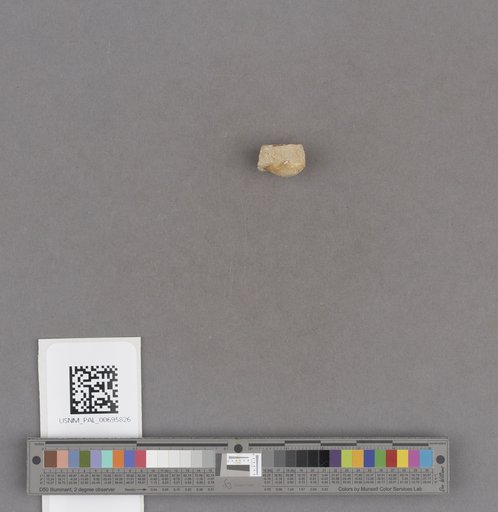 NSF ADBC EPICC TCN