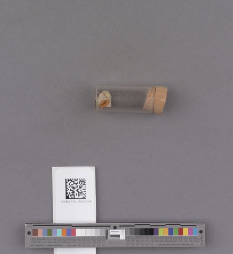 NSF ADBC EPICC TCN