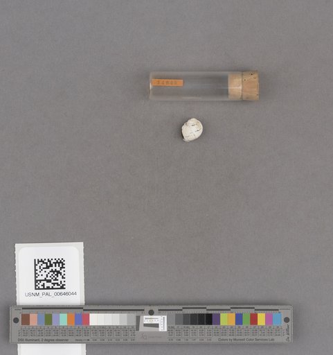 NSF ADBC EPICC TCN