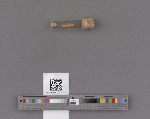 NSF ADBC EPICC TCN