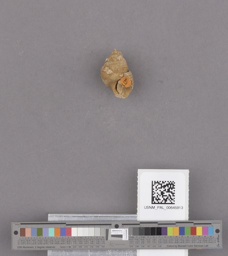 NSF ADBC EPICC TCN
