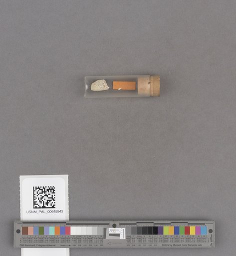 NSF ADBC EPICC TCN