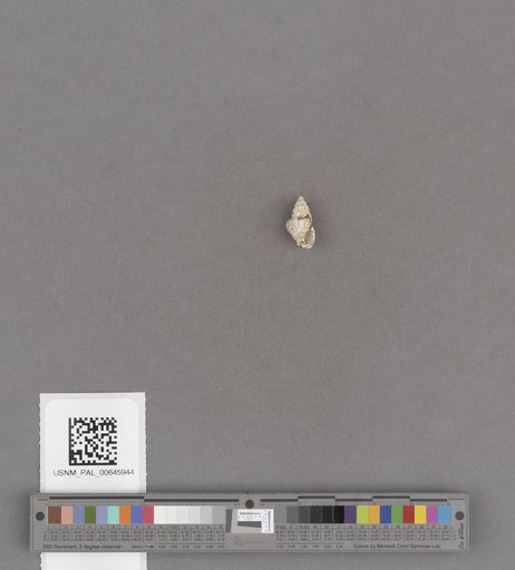 NSF ADBC EPICC TCN