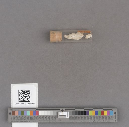 NSF ADBC EPICC TCN