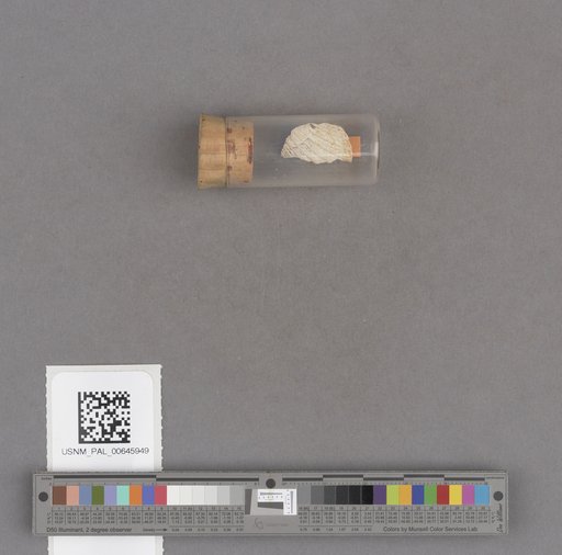 NSF ADBC EPICC TCN