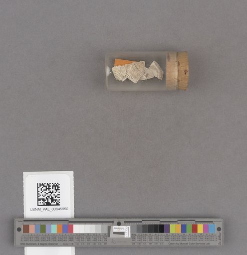 NSF ADBC EPICC TCN