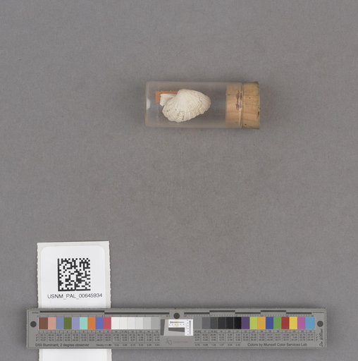 NSF ADBC EPICC TCN