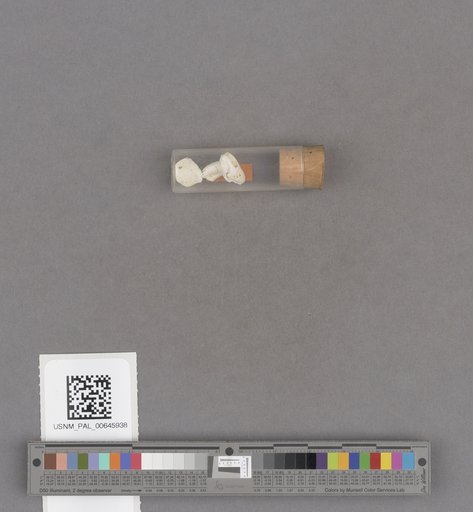 NSF ADBC EPICC TCN