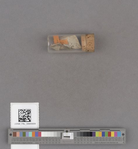 NSF ADBC EPICC TCN
