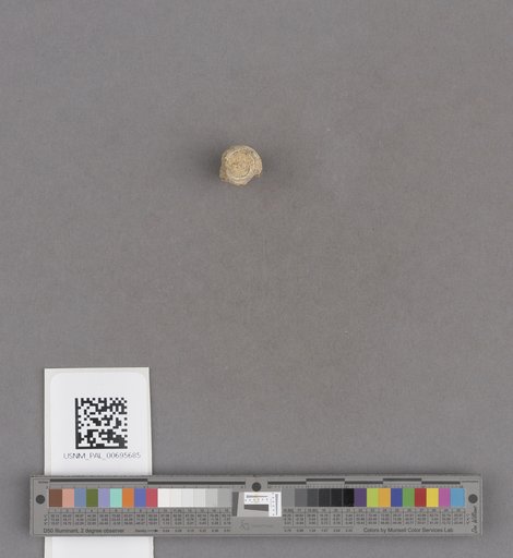 NSF ADBC EPICC TCN