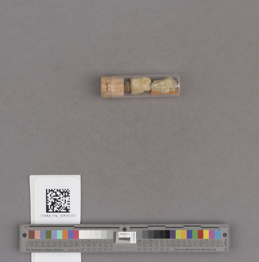 NSF ADBC EPICC TCN