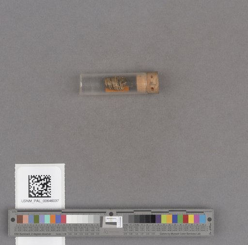 NSF ADBC EPICC TCN