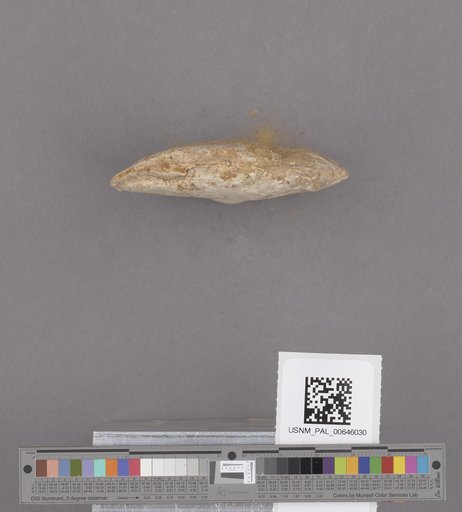 NSF ADBC EPICC TCN