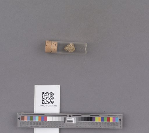 NSF ADBC EPICC TCN