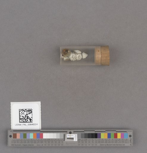 NSF ADBC EPICC TCN