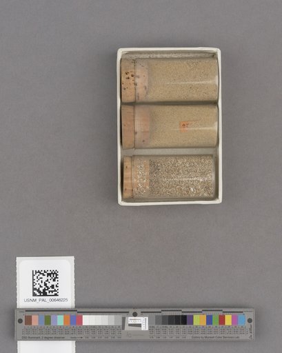 NSF ADBC EPICC TCN