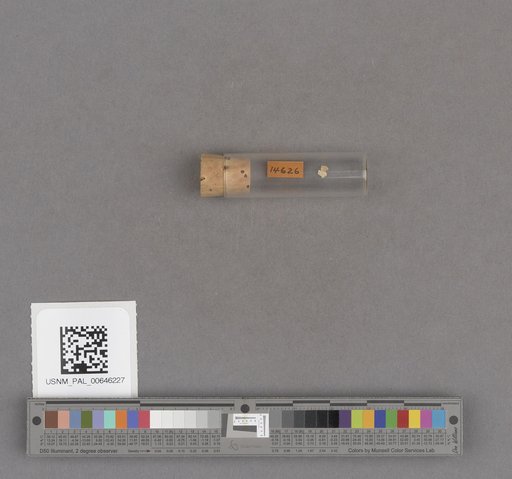 NSF ADBC EPICC TCN