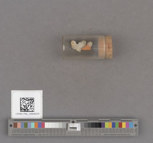 NSF ADBC EPICC TCN