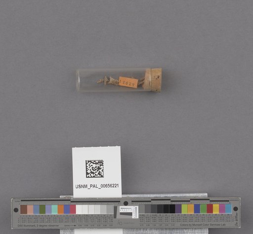 NSF ADBC EPICC TCN