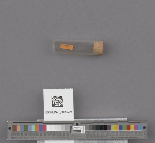 NSF ADBC EPICC TCN