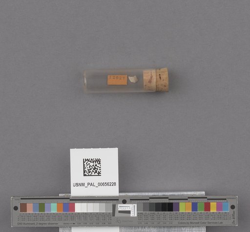 NSF ADBC EPICC TCN