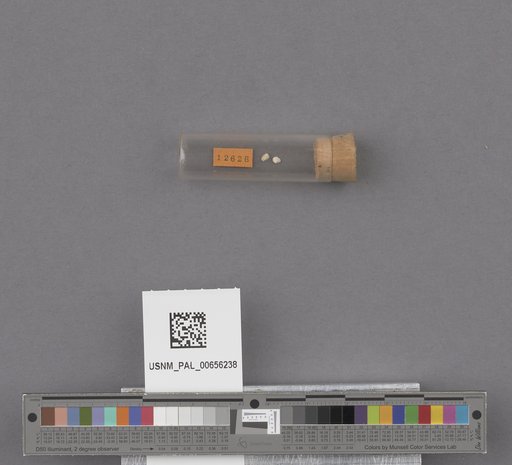 NSF ADBC EPICC TCN