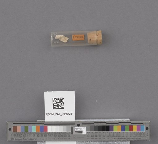NSF ADBC EPICC TCN