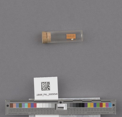 NSF ADBC EPICC TCN