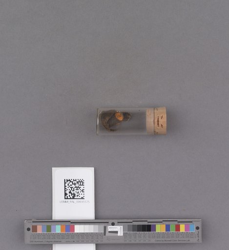 NSF ADBC EPICC TCN