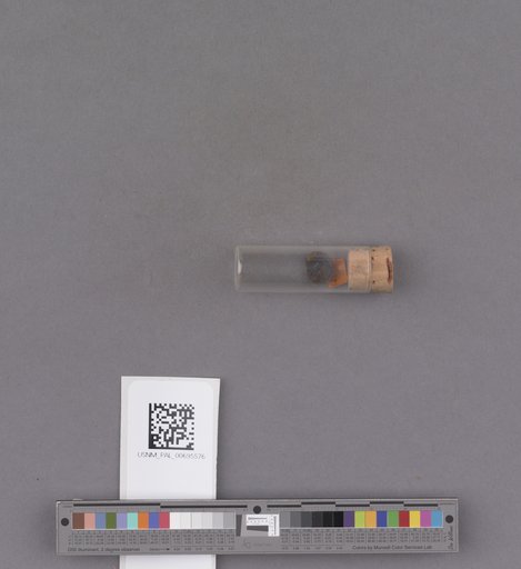 NSF ADBC EPICC TCN